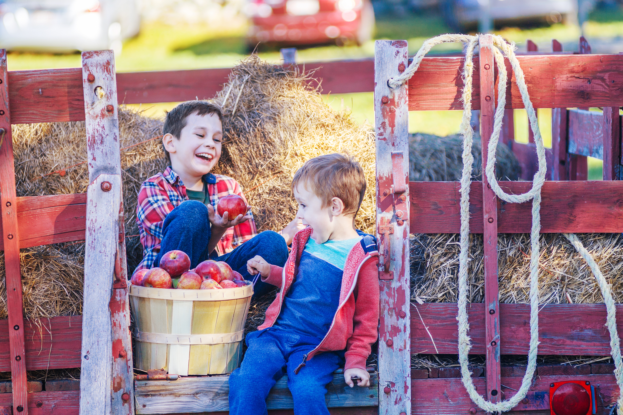 Children,Having,Fun,On,The,Farm.,Happy,Boys,Sit,On